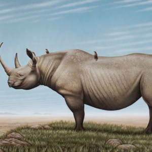 Black Rhino - a CS&Co wallpaper by artist Harem, a painting on canvas of a black rhino